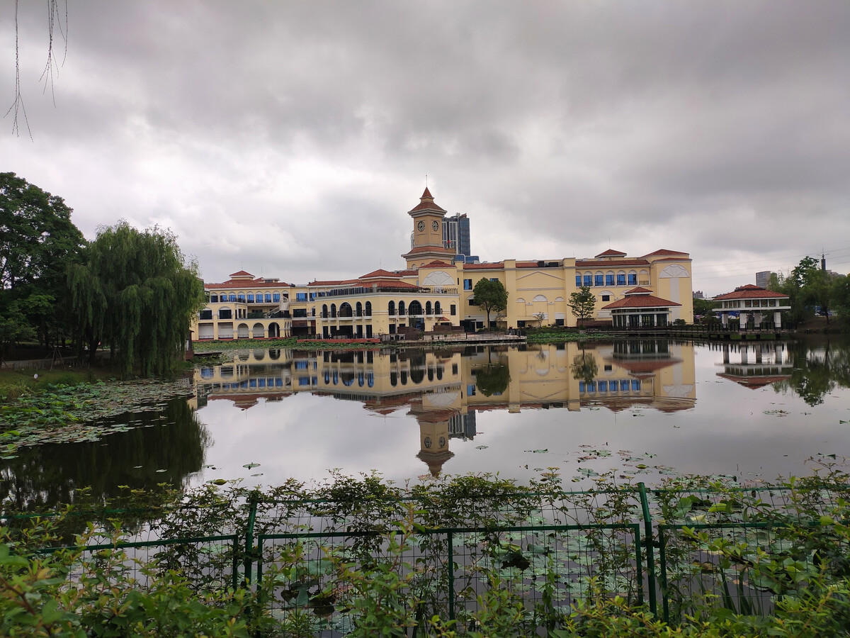上海奉浦四季生態(tài)園隨拍 城市綠肺中的詩意漫步